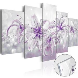 Obraz fialové ľalie na akrylátovom skle - Purple Graces
