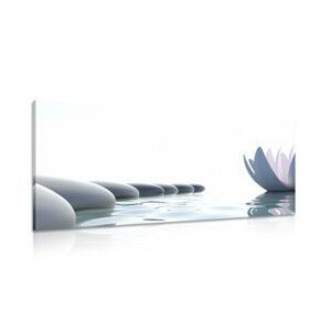 Obraz lotosový kvet a Zen kamene