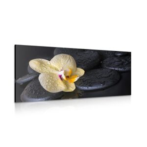 Obraz Zen kamene so žltou orchideou