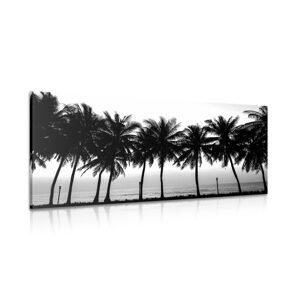Obraz západ slnka nad palmami v čiernobielom prevedení