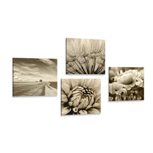 Set obrazov pole s kvetmi v sépiovom prevedení