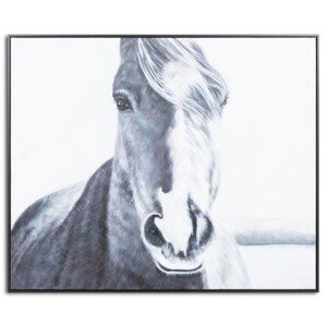 Estila Ručne maľovaný obraz Kôň s čiernym dreveným rámom 100x120