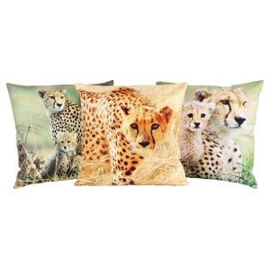 Obliečka na vankúš - Trio set gepard