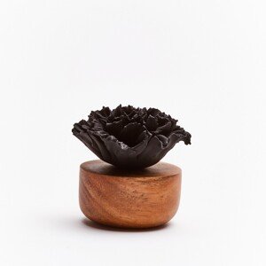 Dizajnový difuzér s motívom Japonský klinček, čierna - ANOQ