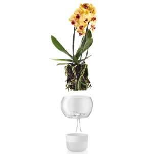 Samozavlažovací sklenený kvetináč na orchideu priemer 15cm, eva solo