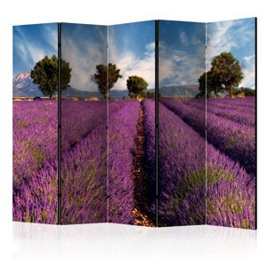 Paraván Lavender field in Provence, France Dekorhome 225x172 cm (5-dielny),Paraván Lavender field in Provence, France Dekorhome 225x172 cm (5-dielny)