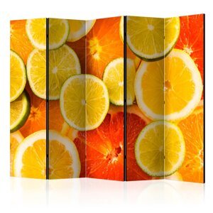 Paraván Citrus fruits Dekorhome 225x172 cm (5-dielny),Paraván Citrus fruits Dekorhome 225x172 cm (5-dielny)