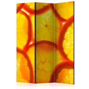 Paraván Orange slices Dekorhome 135x172 cm (3-dielny),Paraván Orange slices Dekorhome 135x172 cm (3-dielny)