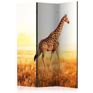 Paraván giraffe - walk Dekorhome 135x172 cm (3-dielny),Paraván giraffe - walk Dekorhome 135x172 cm (3-dielny)